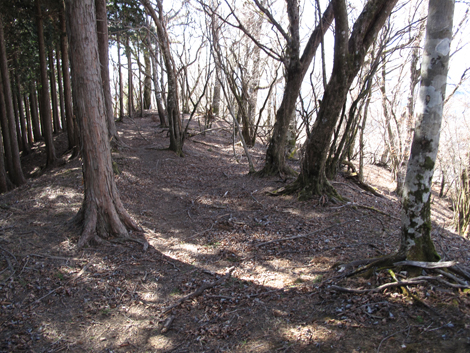 20190121hike (155)